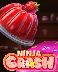 66BR.COM