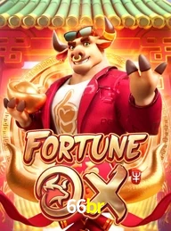 66BR.COM